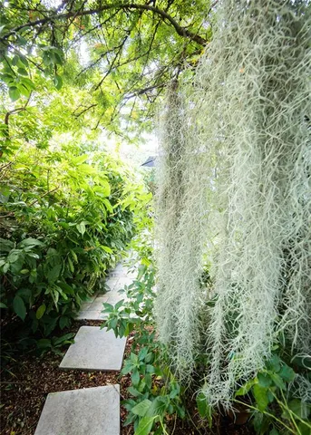 a dining table with a rug and a chair