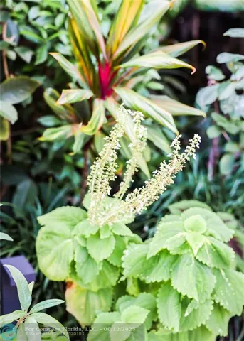 $4,380,000 | 3301 Southeast 12th Street, Pompano Beach, FL 33062