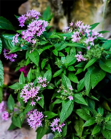 a living room with a bed furniture and a flat screen tv