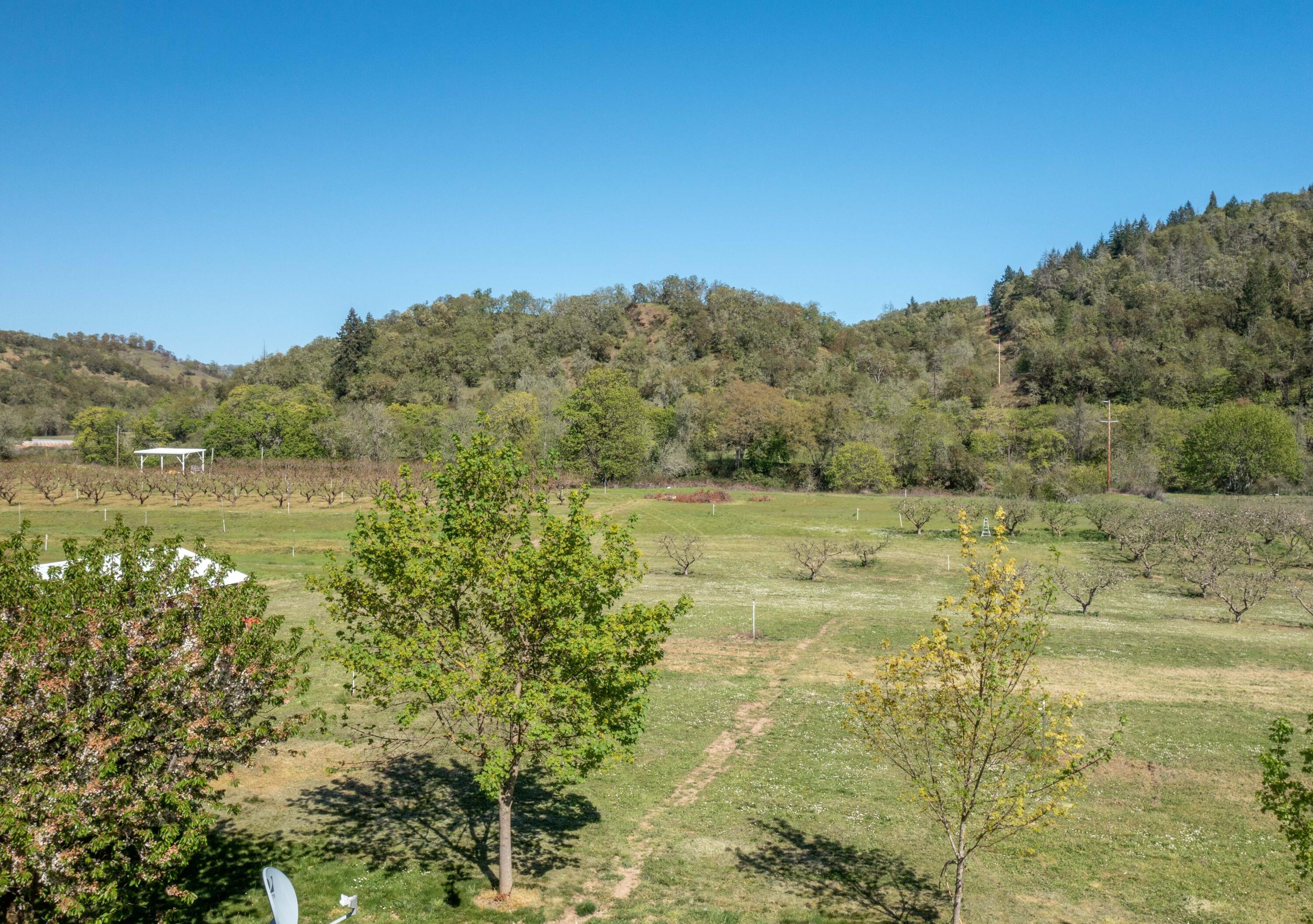 344 Hooten Road Winston, OR 97496 - Photo 41 of 44 344 Hooten Road-30