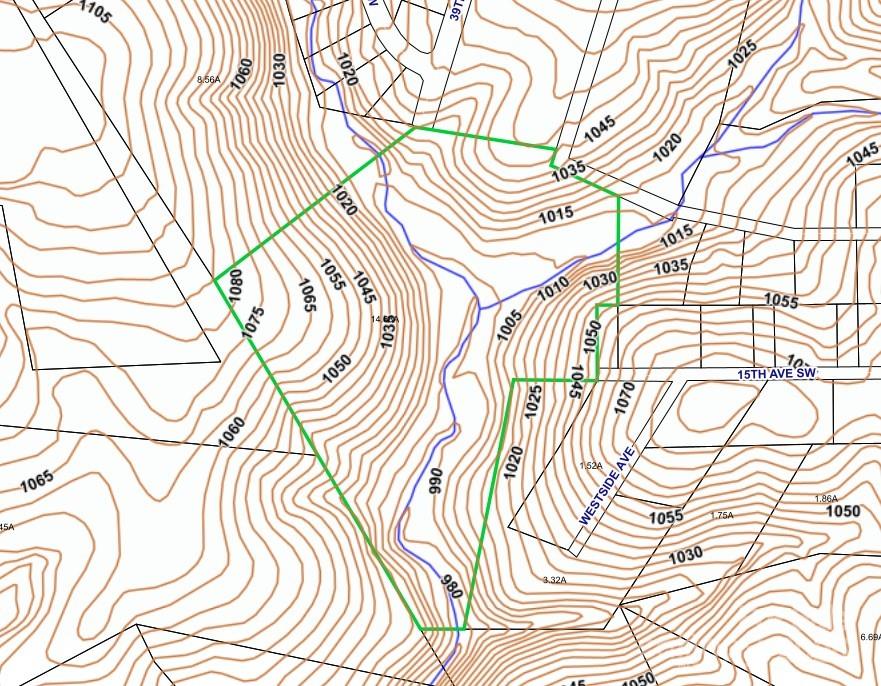 1356 39th Street Southwest Hickory, NC 28602 - Photo 13 of 14
