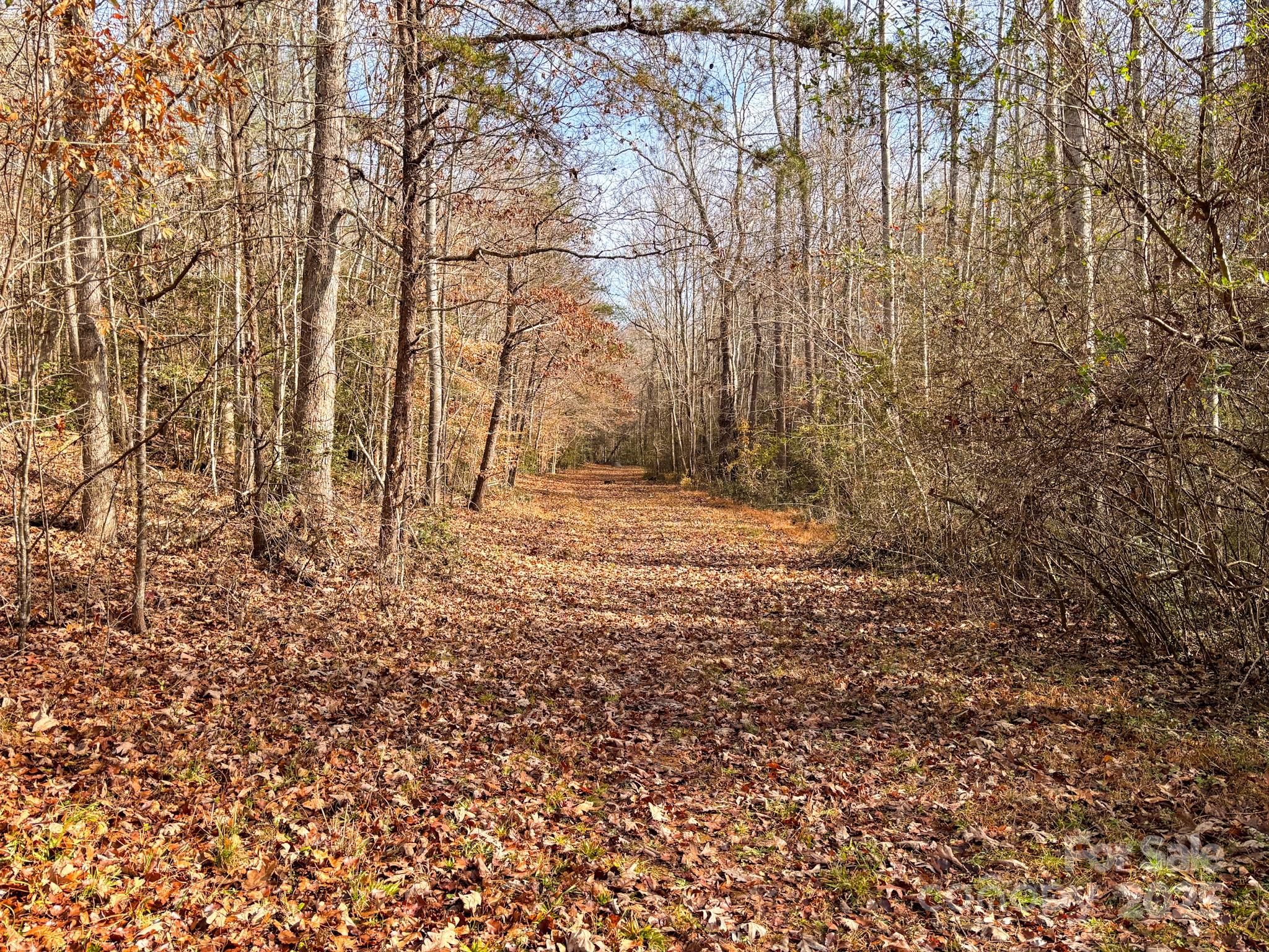 1356 39th Street Southwest Hickory, NC 28602 - Photo 3 of 14