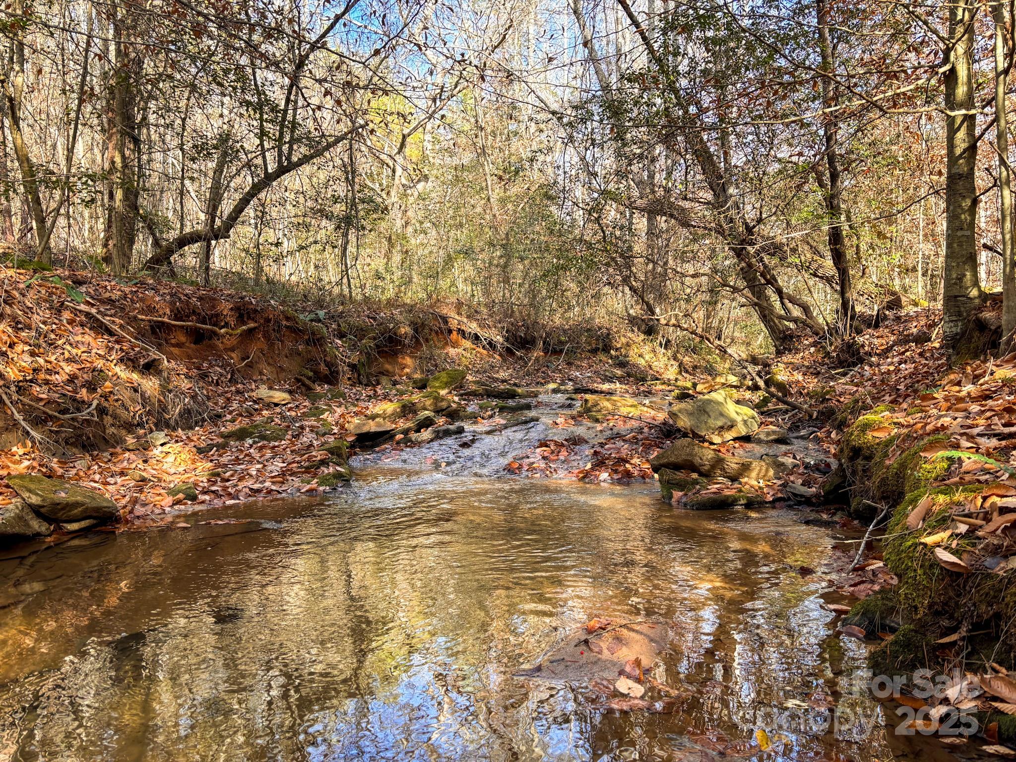 1356 39th Street Southwest Hickory, NC 28602 - Photo 4 of 14 a view of lake
