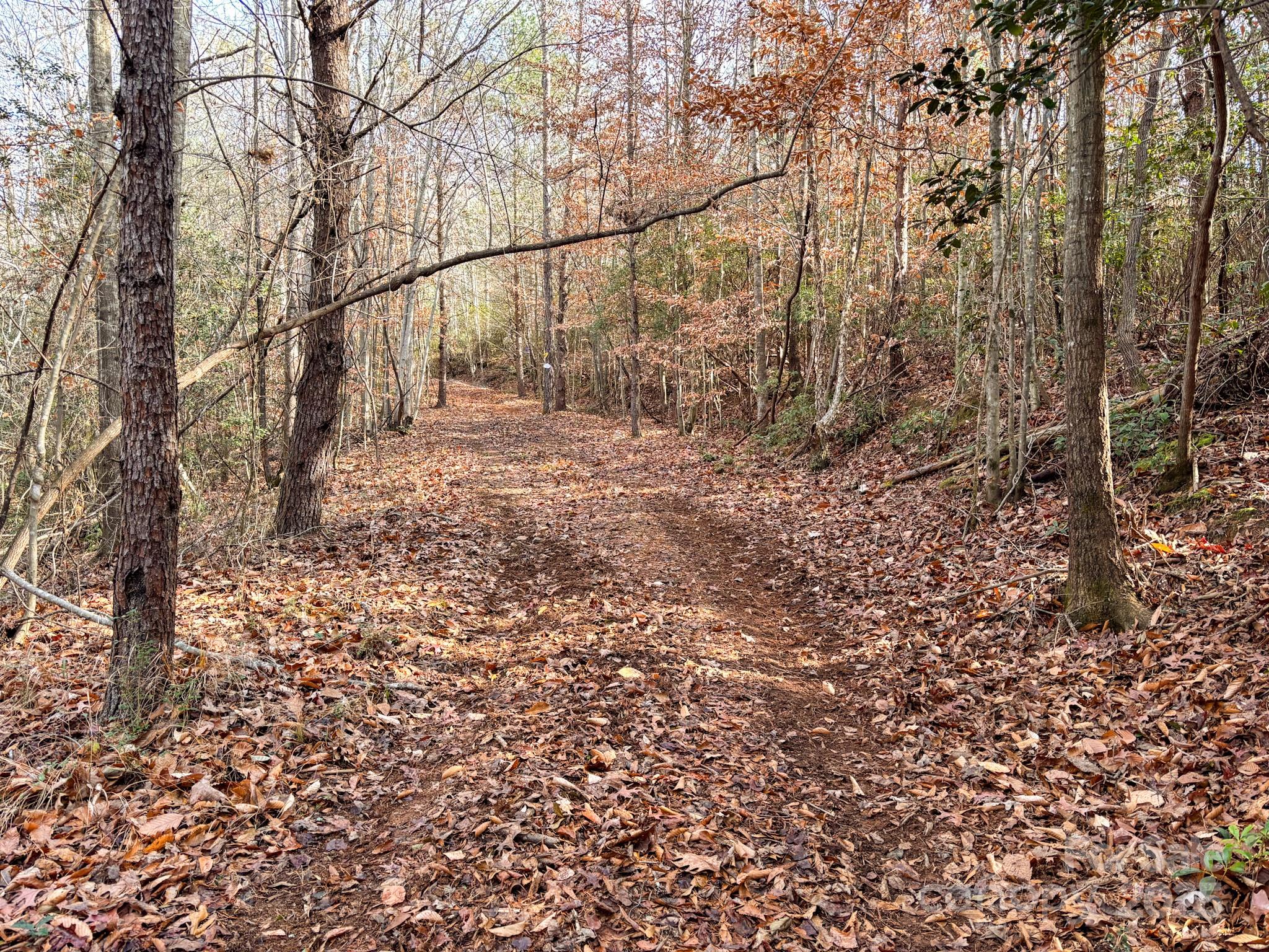 1356 39th Street Southwest Hickory, NC 28602 - Photo 5 of 14 a view of yard with green space