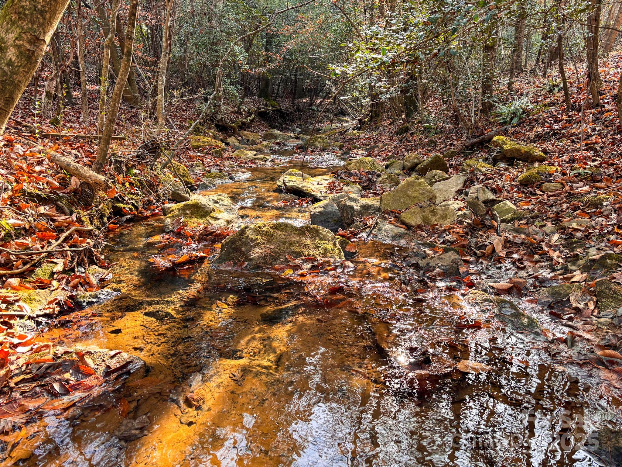 1356 39th Street Southwest Hickory, NC 28602 - Photo 6 of 14 a view of a tree with a tree