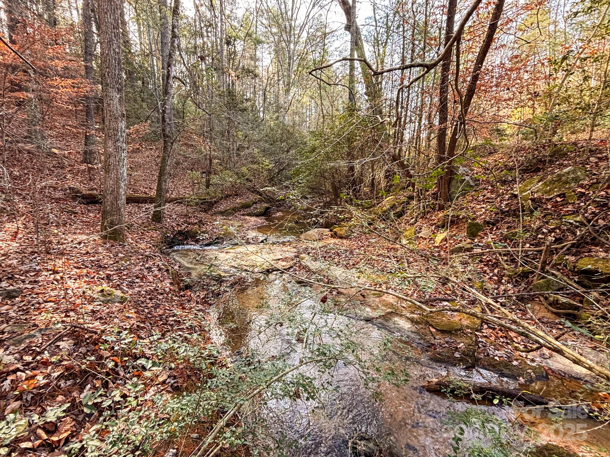 1356 39th Street Southwest Hickory, NC 28602 - Photo 7 of 14 a view of a yard with large trees
