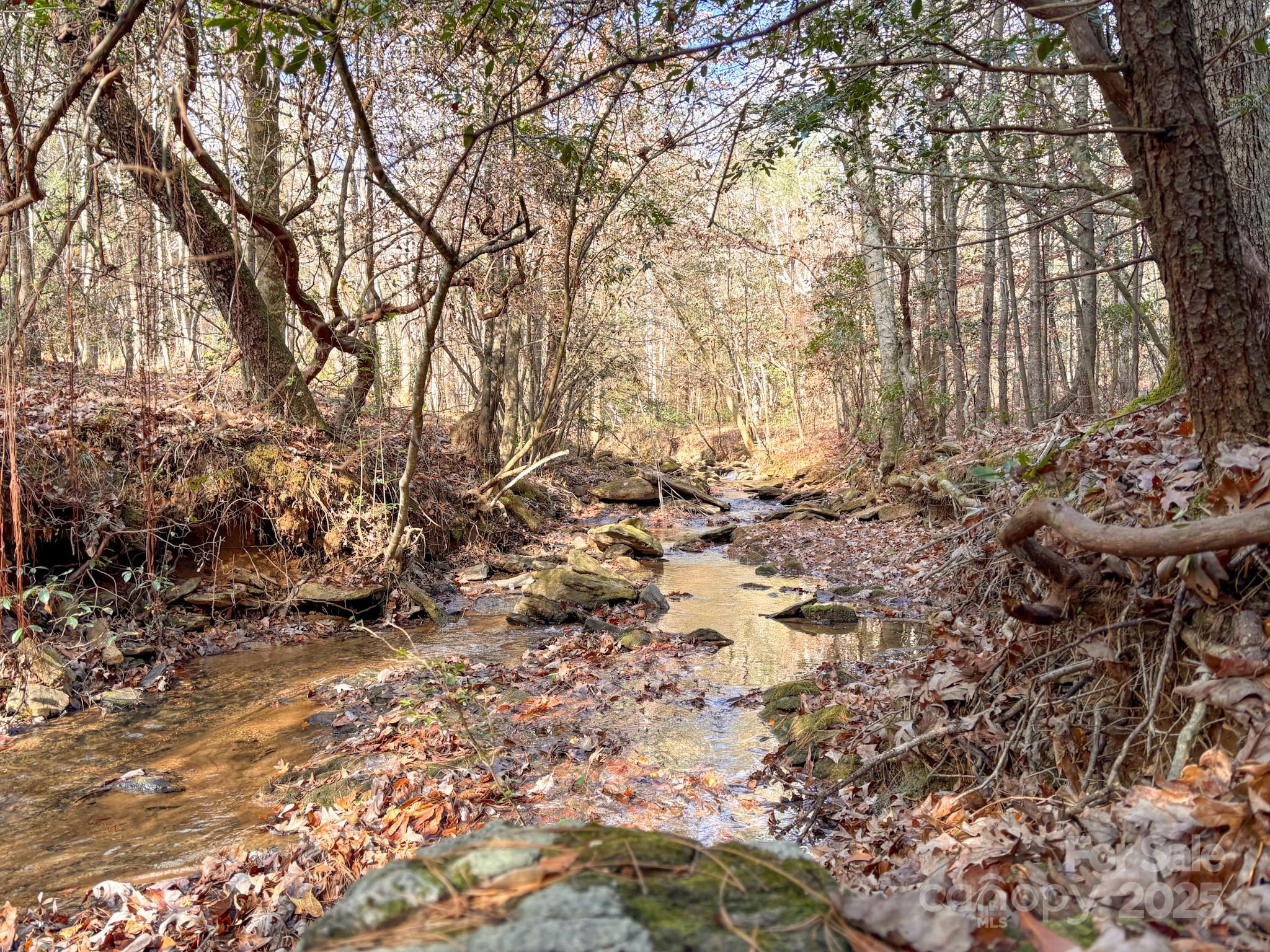 1356 39th Street Southwest Hickory, NC 28602 - Photo 9 of 14 a view of a yard with a tree