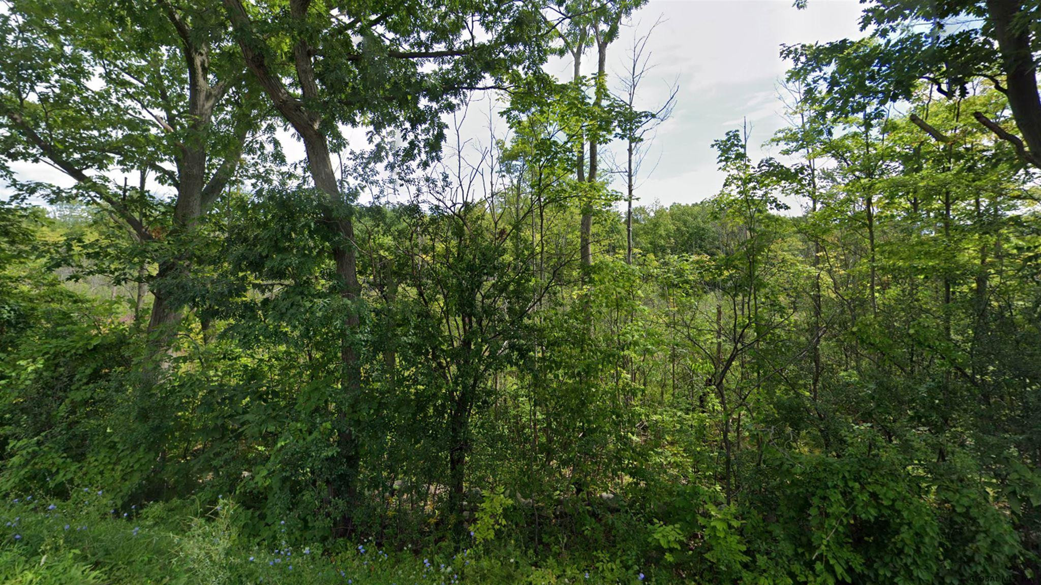 L13.1 Ridge Road Glenville, NY 12302 - Photo 1 of 5 Photo 1