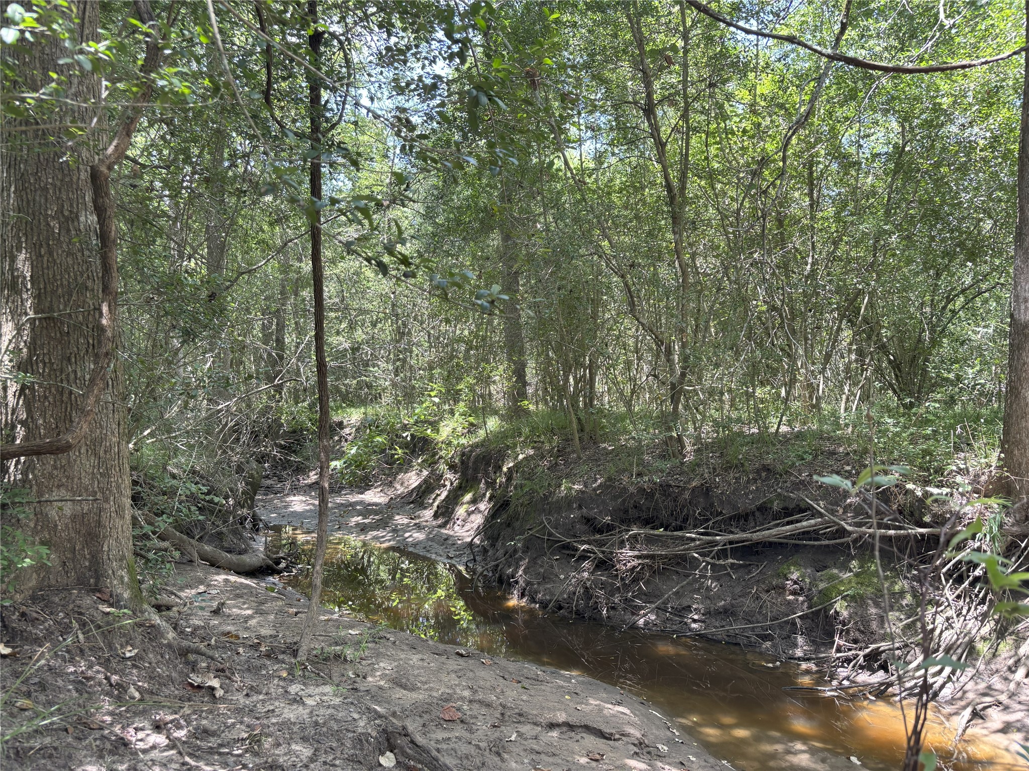 Tbd Holik Road Hempstead, TX 77445 - Photo 48 of 50