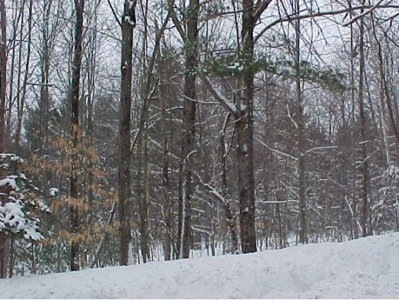 Upper Grafton Road Grafton, NH 03240 - Photo 1 of 1