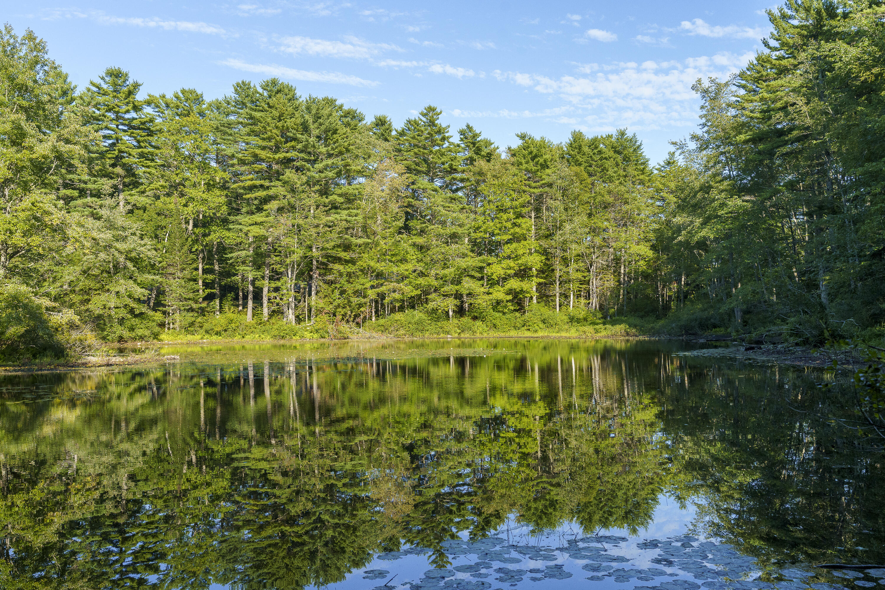 3 D Lakeview Drive Bristol, ME 04539 - Photo 11 of 11 28-00 Lakeview Dr, Bristol, ME-TP