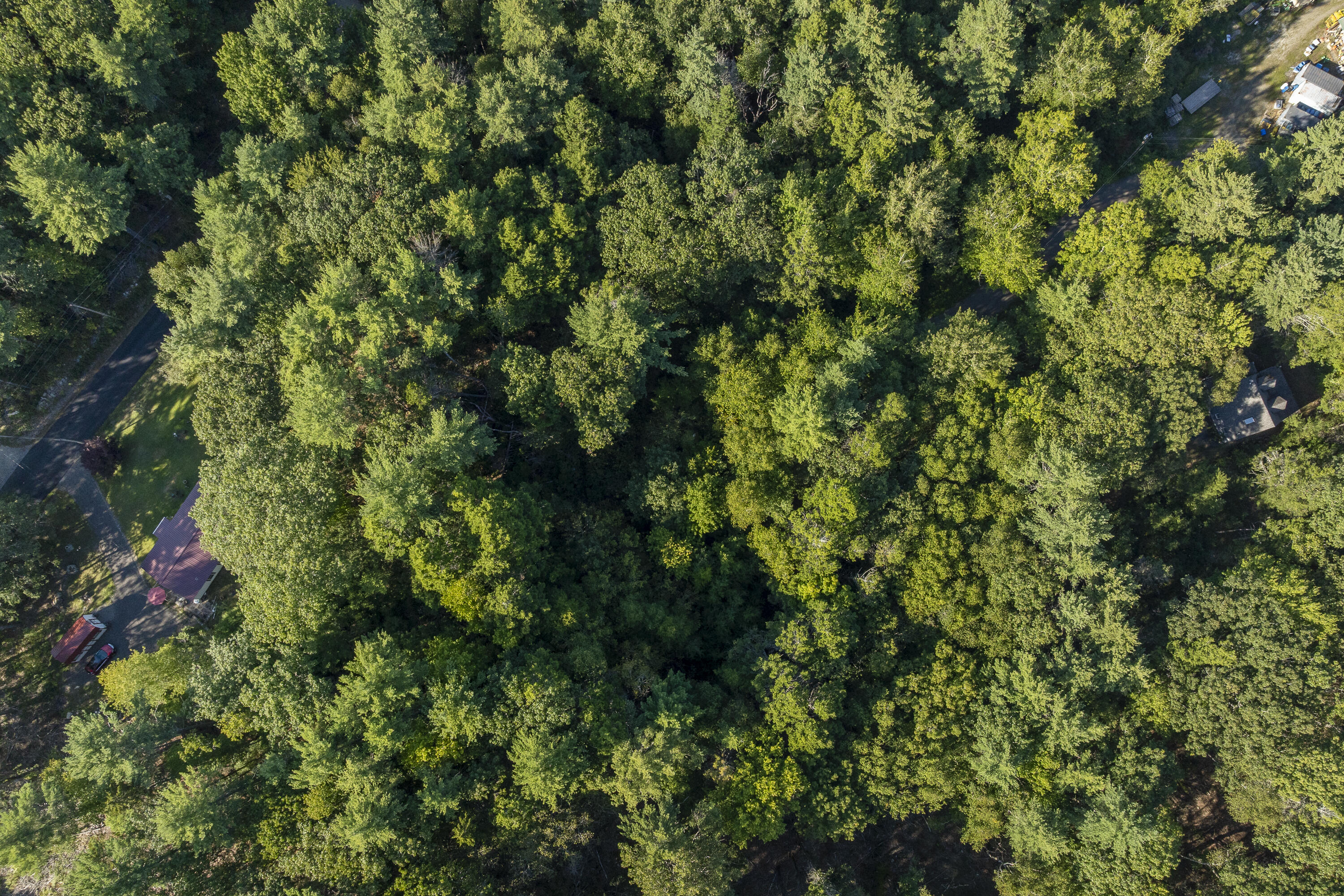 3 D Lakeview Drive Bristol, ME 04539 - Photo 2 of 11 10-00 Lakeview Dr, Bristol, ME-TP