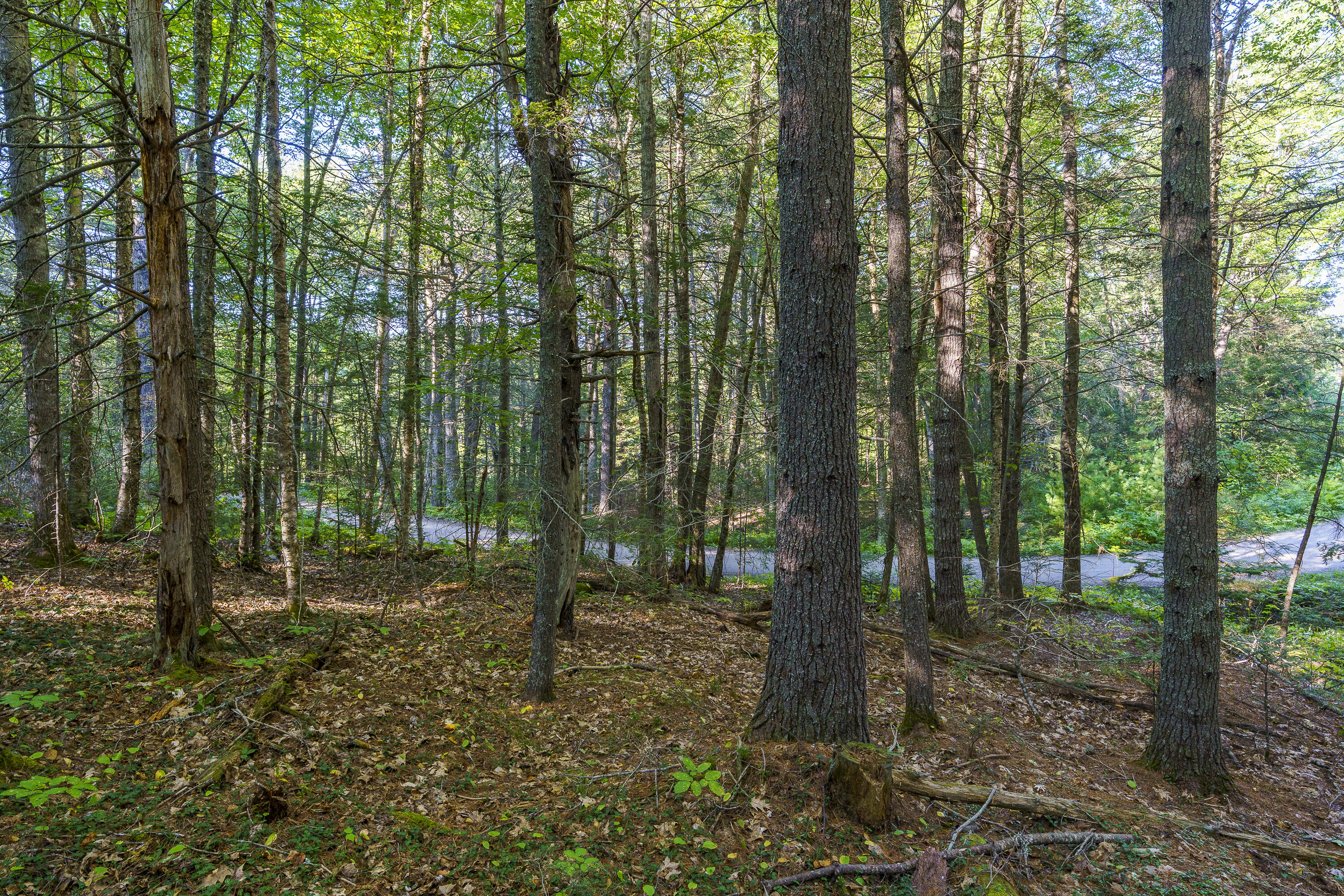 3 D Lakeview Drive Bristol, ME 04539 - Photo 7 of 11 22-00 Lakeview Dr, Bristol, ME-TP