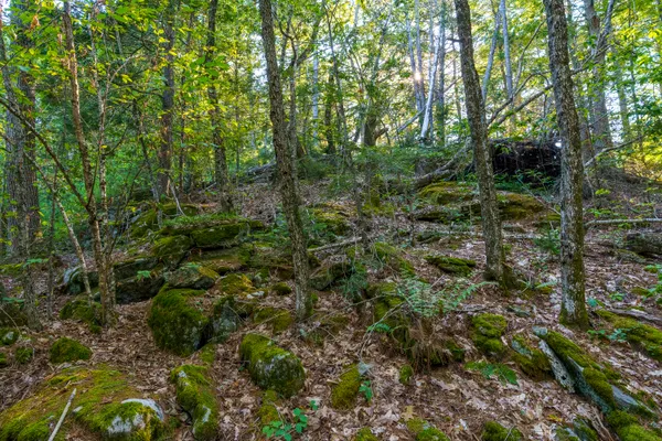 $89,500 | 3 D Lakeview Drive, Bristol, ME 04539