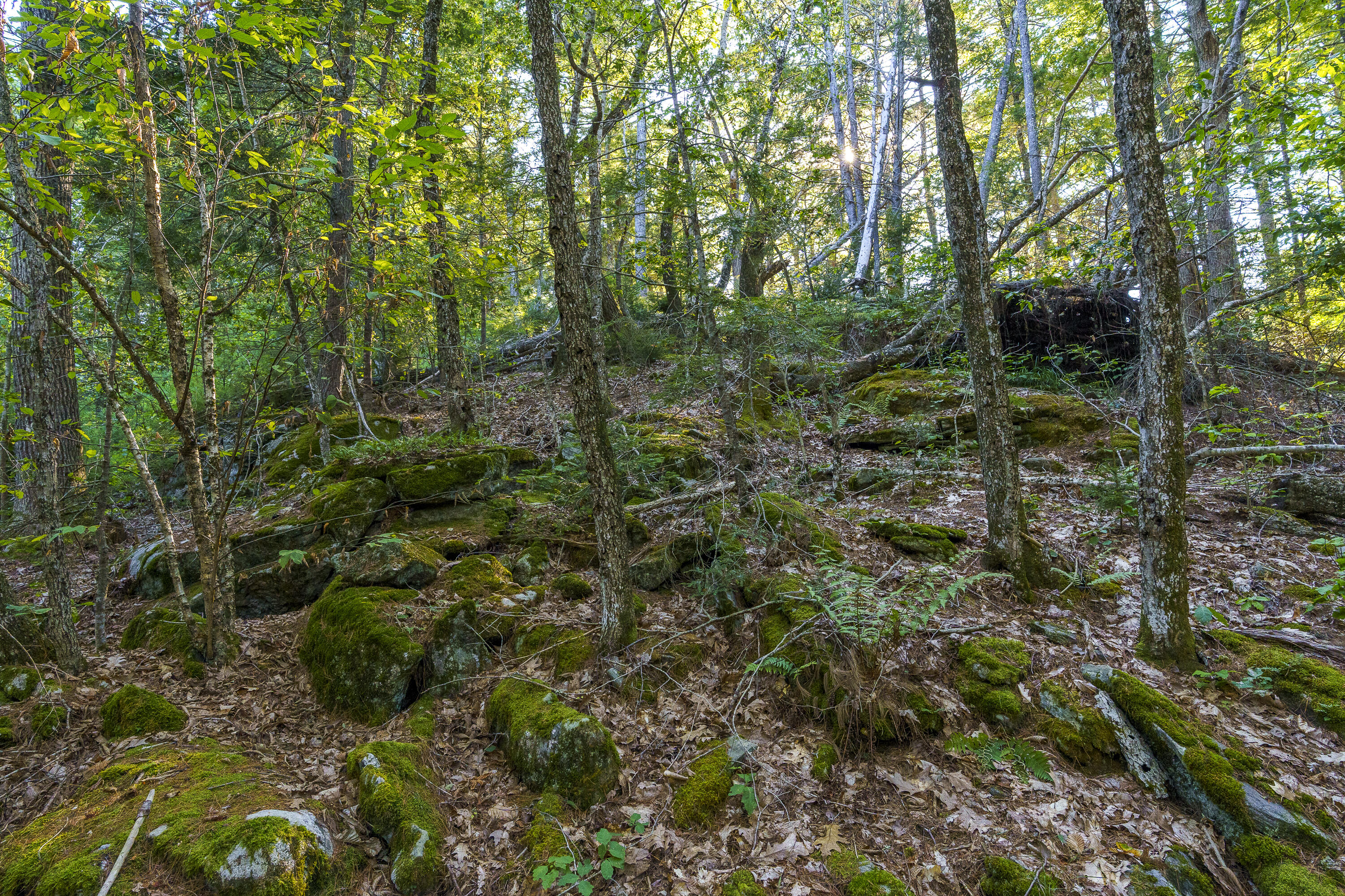 3 D Lakeview Drive Bristol, ME 04539 - Photo 8 of 11 23-00 Lakeview Dr, Bristol, ME-TP