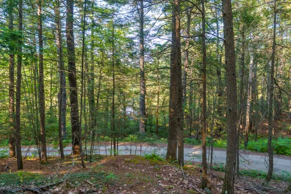 $89,500 | 3 D Lakeview Drive, Bristol, ME 04539