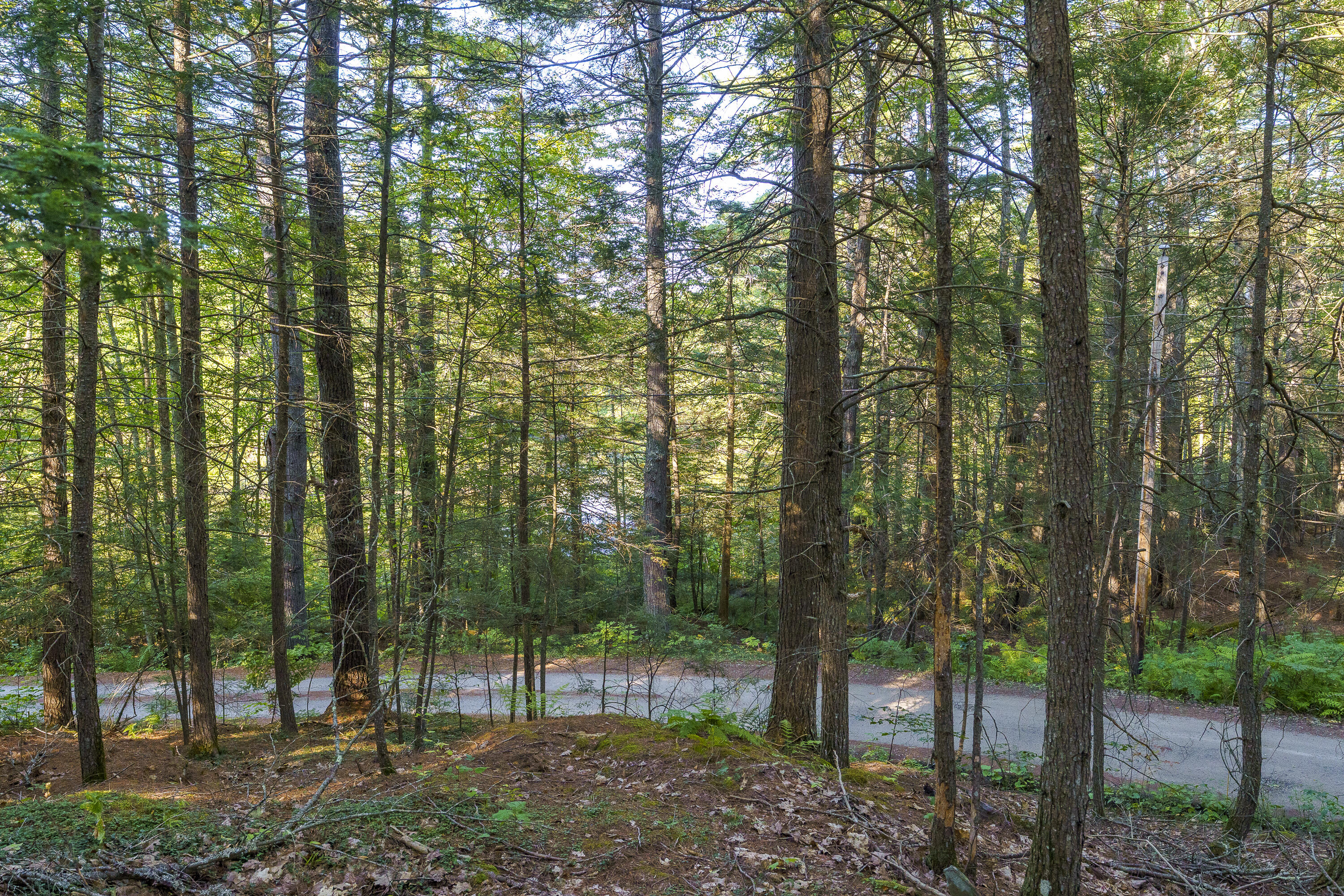 3 D Lakeview Drive Bristol, ME 04539 - Photo 9 of 11 24-00 Lakeview Dr, Bristol, ME-TP