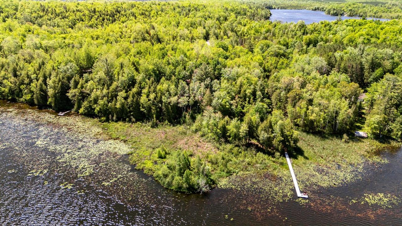 Lot 2 Lake John Road White Lake, WI 54491 - Photo 8 of 24 Gallery Image 8