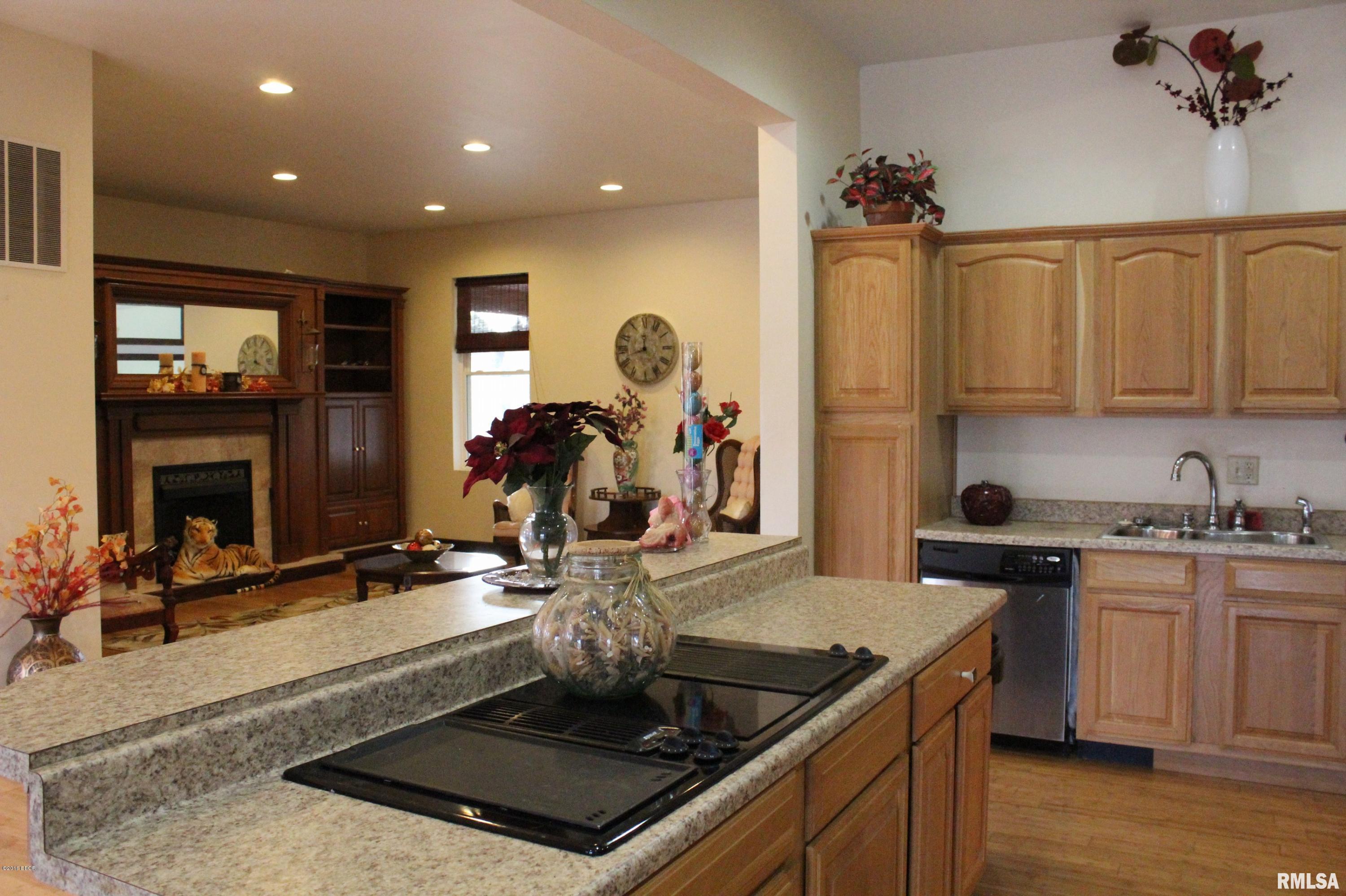 6156 Chautauqua Road Murphysboro, IL 62966 - Photo 6 of 47