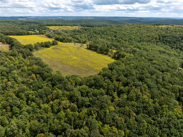 $189,000 | 8015 Peacock Road, Bath, NY 14810