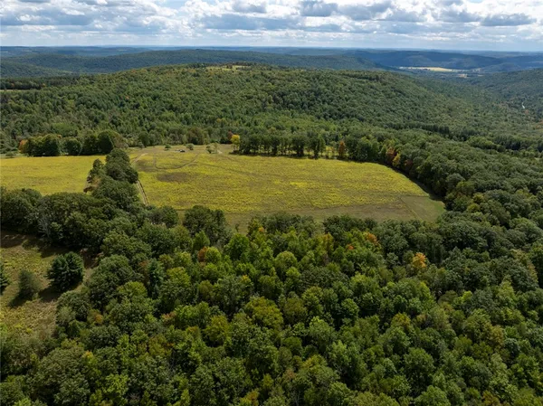 $179,000 | 8015 Peacock Road, Bath, NY 14810