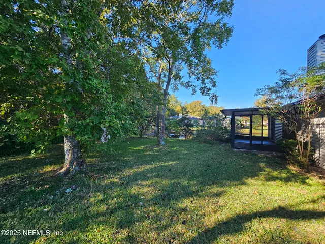 a view of a yard in front of a house with a large tree