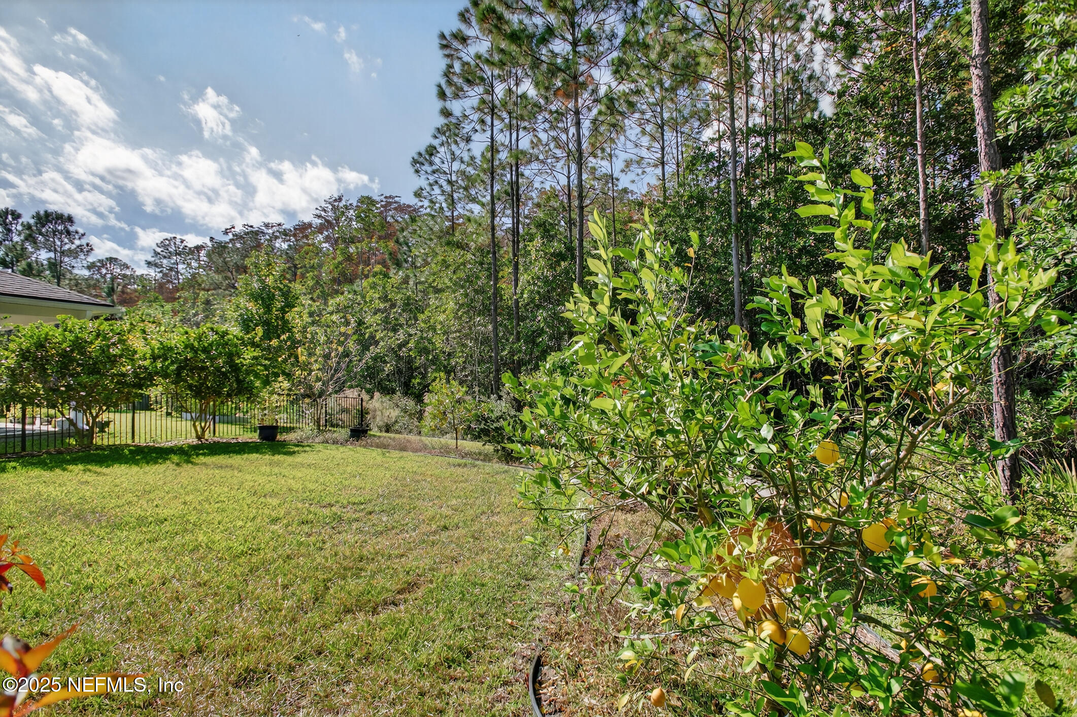 11080 Engineering Way Jacksonville, FL 32256 - Photo 47 of 74 a view of a big yard with large trees