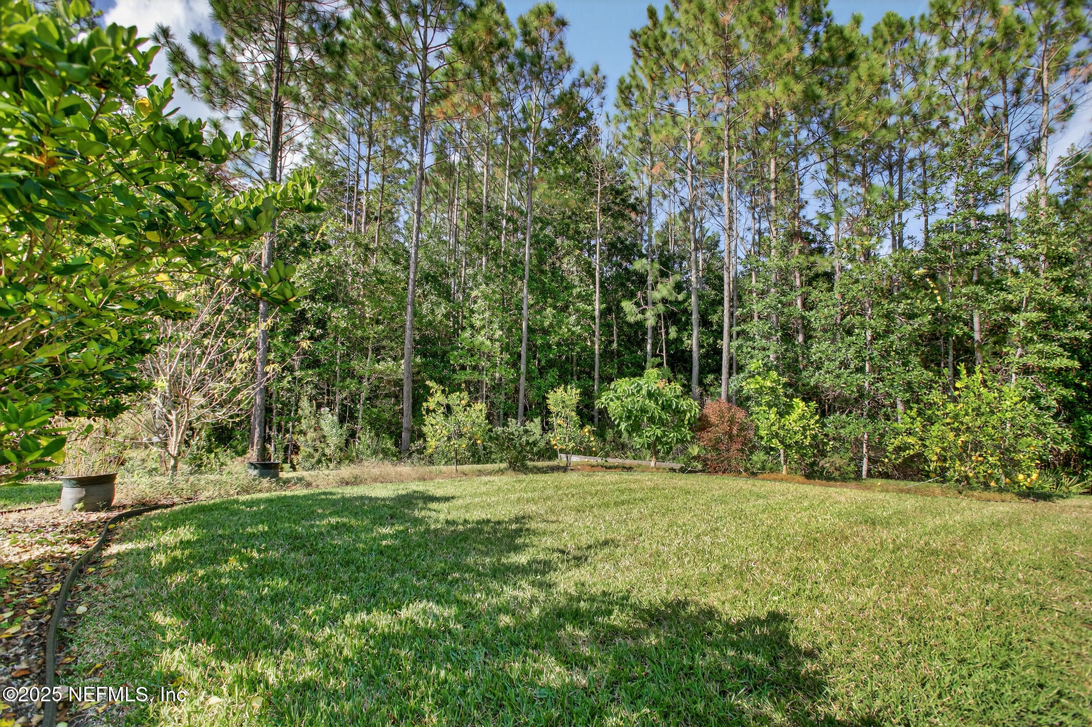 11080 Engineering Way Jacksonville, FL 32256 - Photo 48 of 74 a view of outdoor space with trees all around