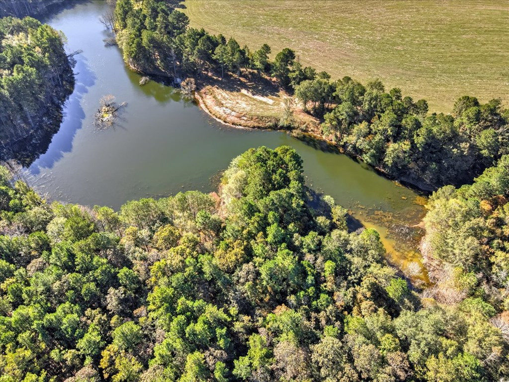 0 Broomstraw Road Johnston, SC 29832 - Photo 6 of 22
