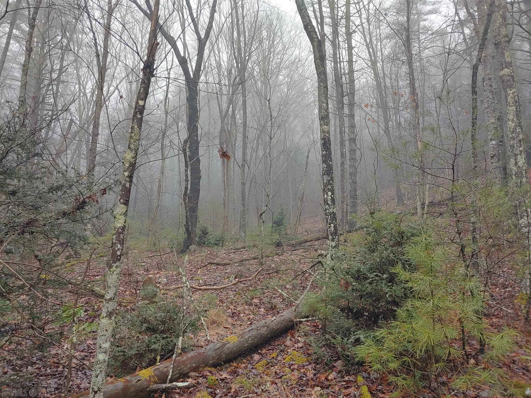 Tbd Tbd Macks Mtn Road Indian Valley, VA 24105 - Photo 2 of 27 Gallery Image 2