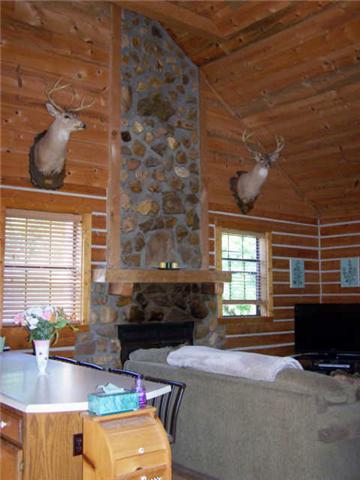 3520 Lewis Atkins Road Woodlawn, TN 37191 - Photo 12 of 20 Gallery Image 12