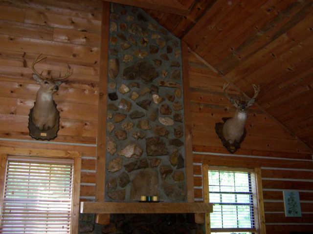 3520 Lewis Atkins Road Woodlawn, TN 37191 - Photo 13 of 20 Gallery Image 13