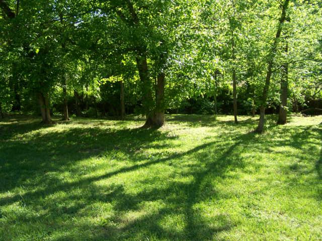 3520 Lewis Atkins Road Woodlawn, TN 37191 - Photo 17 of 20 Gallery Image 17