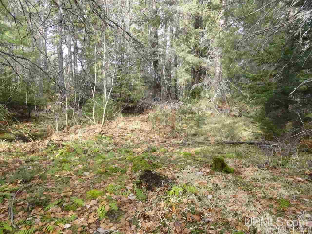 80-acres 80-acres Co Road Negaunee, MI 49866 - Photo 38 of 45