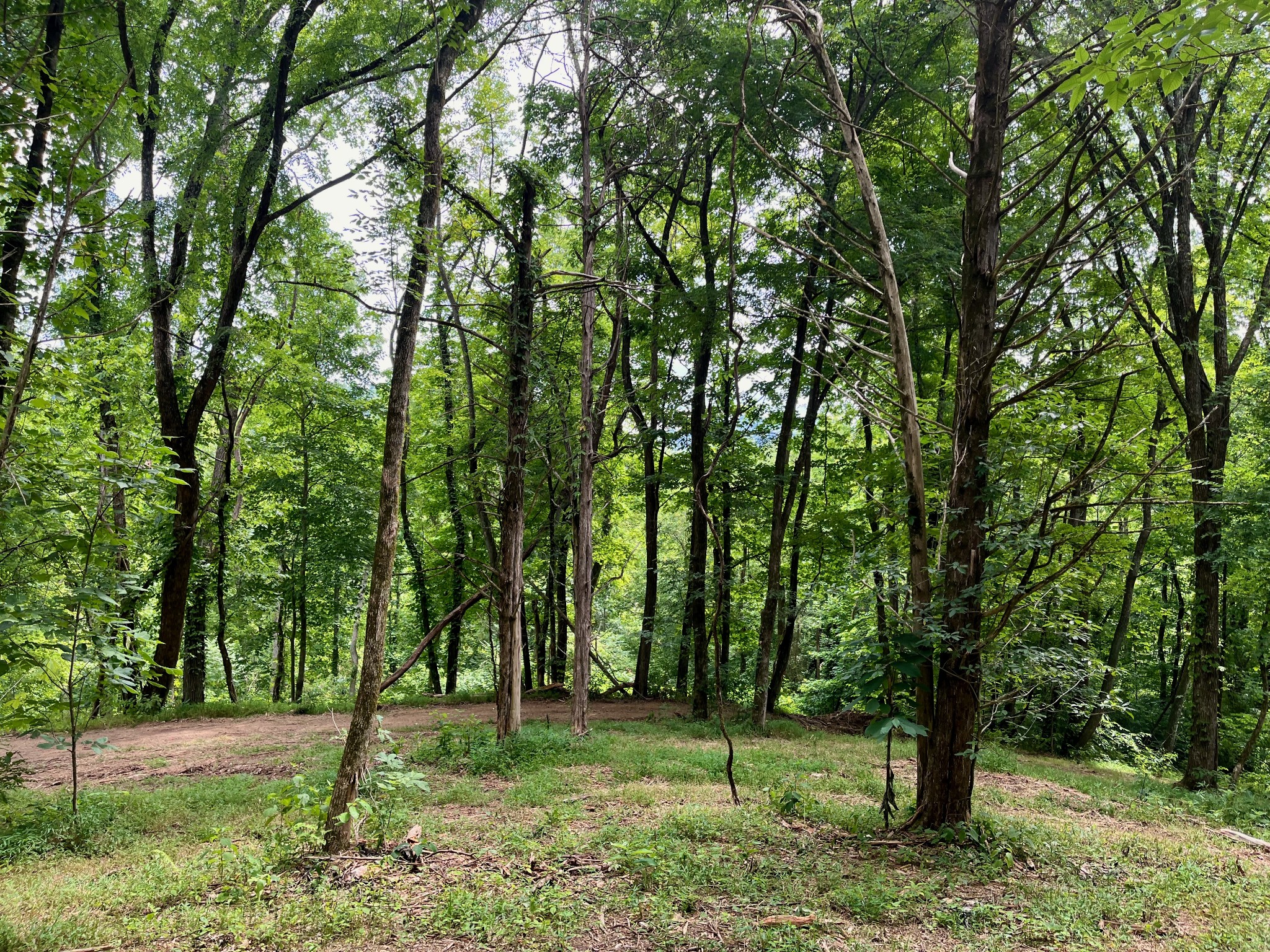 135 Dillehay Hollow Road Pleasant Shade, TN 37145 - Photo 20 of 47
