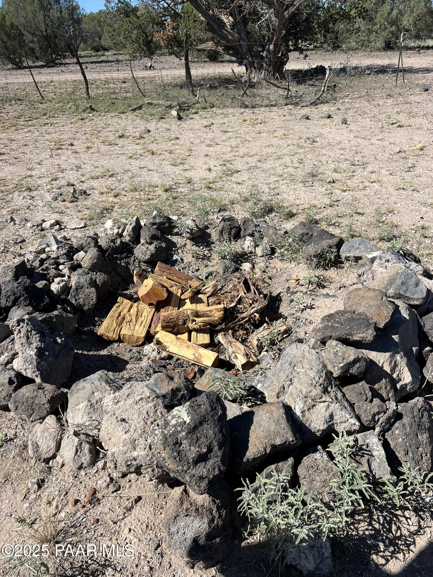 a view of lot of trees
