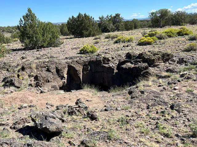 a view of a backyard of a house