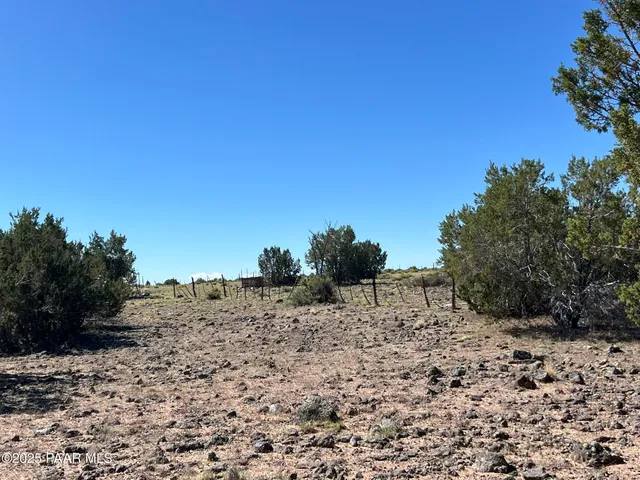 a view of a dry yard with trees in the background