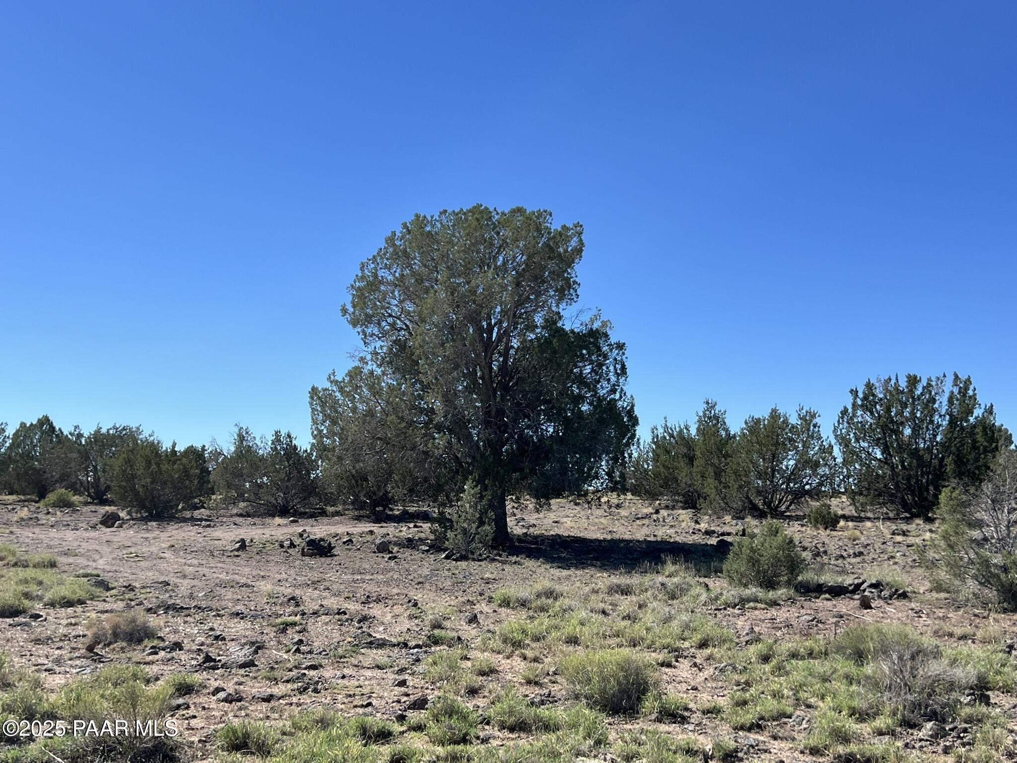 18 B West Warren Run Road Ash Fork, AZ 86320 - Photo 8 of 13 a view of a backyard of the house