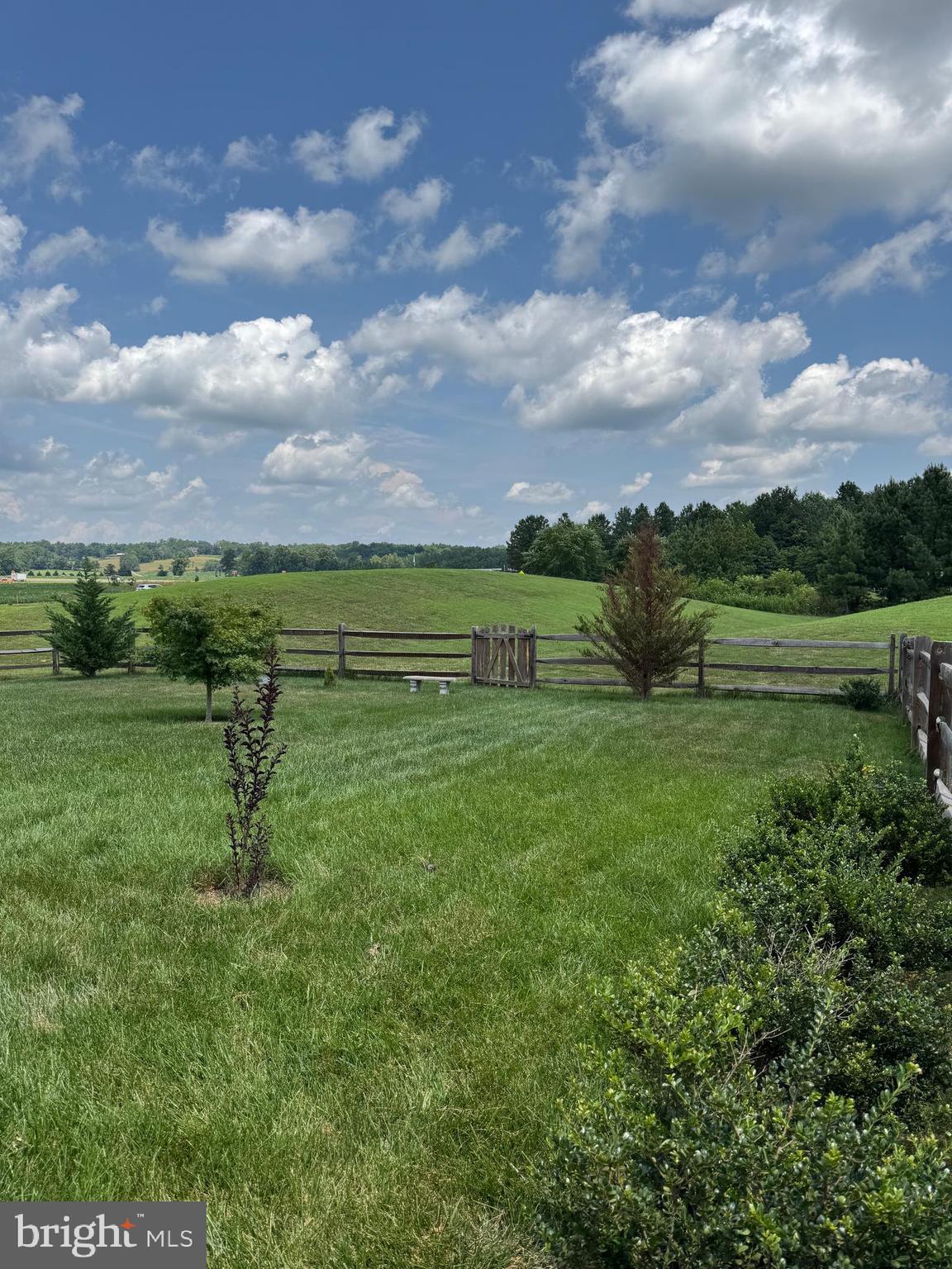 5473 Leedstown Road King George, VA 22485 - Photo 26 of 26 View from Rear Deck