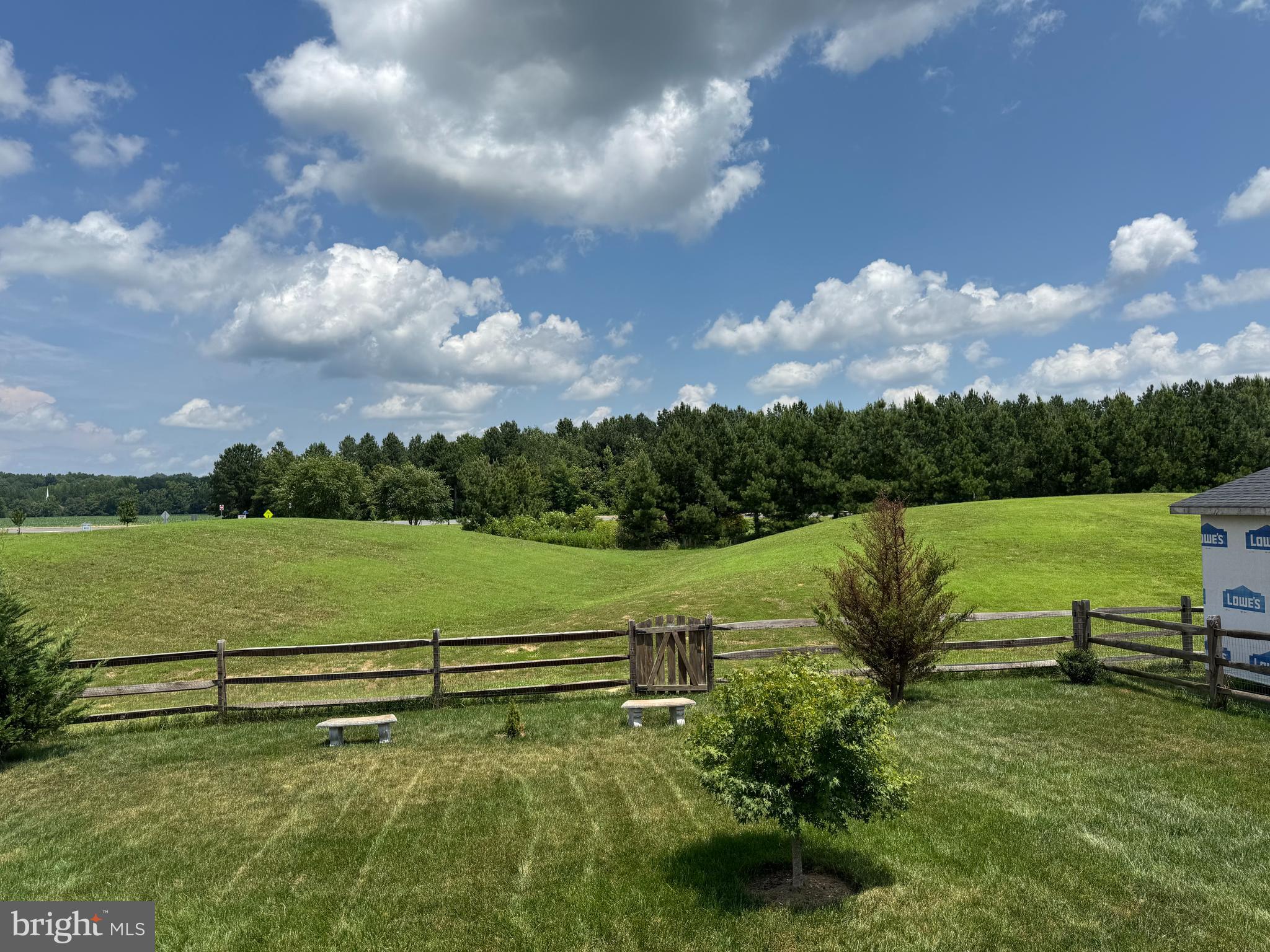 Rear Yard and View