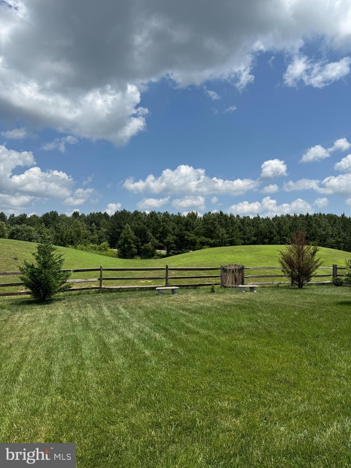View from Rear Deck