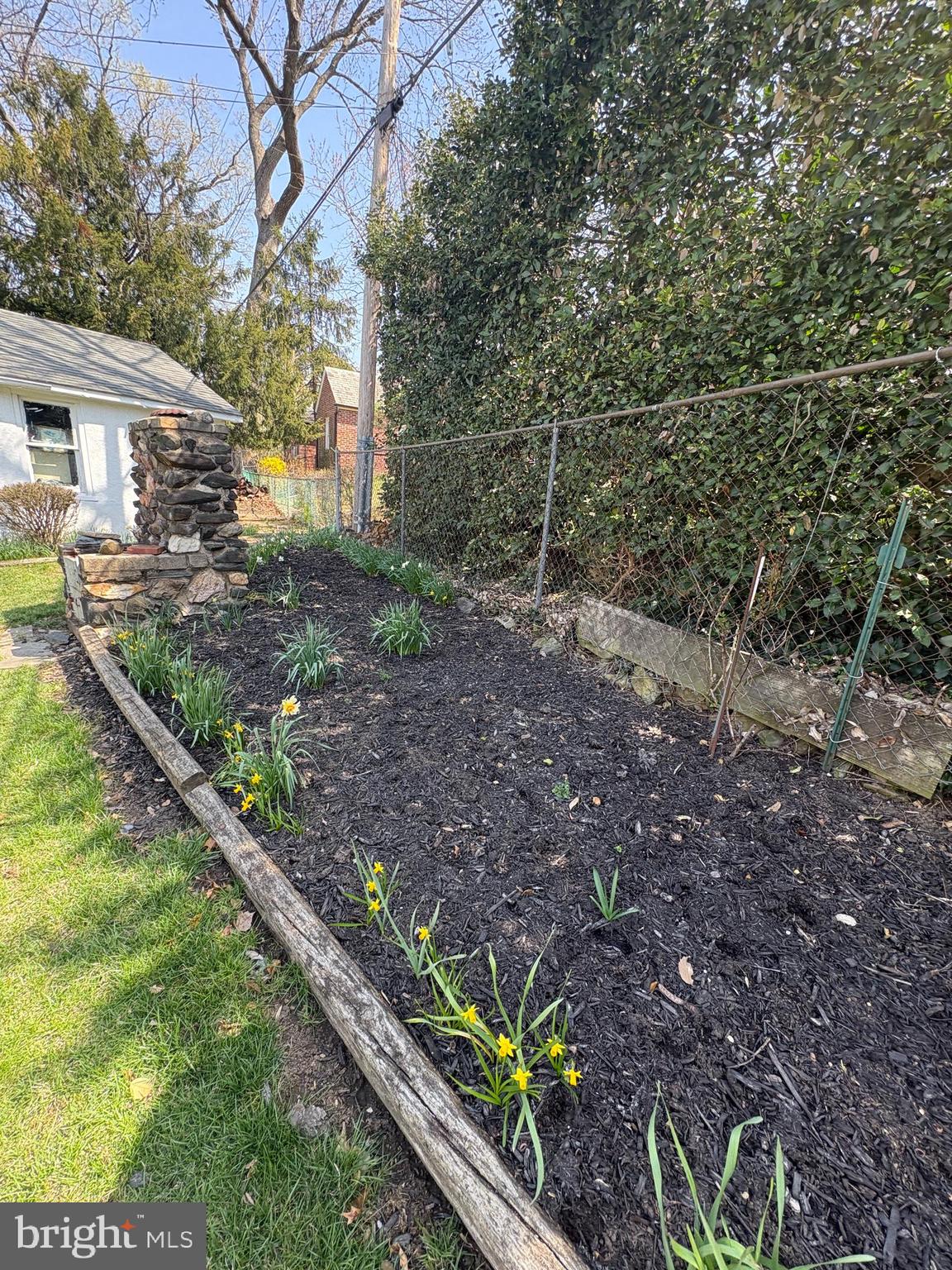 705 Winans Way Baltimore, MD 21229 - Photo 37 of 43 Garden space ready to grow and enjoy