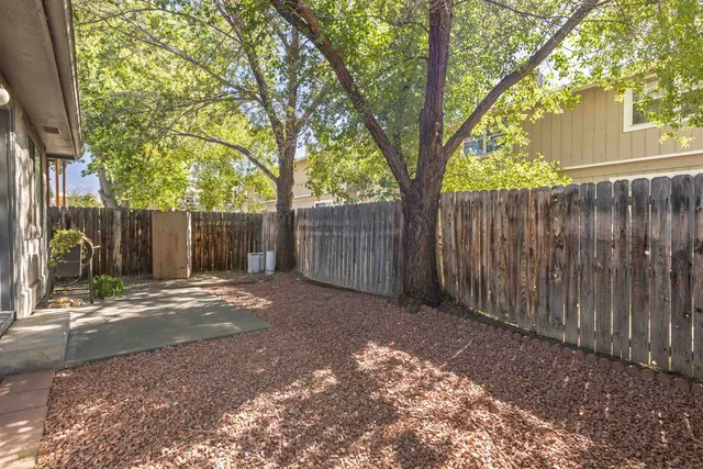 a view of a backyard with large trees and wooden fence