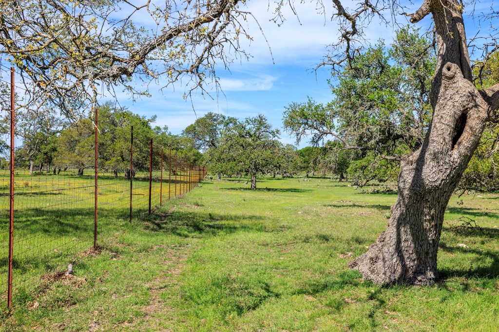 283 Dally Road, Unit 14 Comfort, TX 78013 - Photo 11 of 12 Gallery Image 11