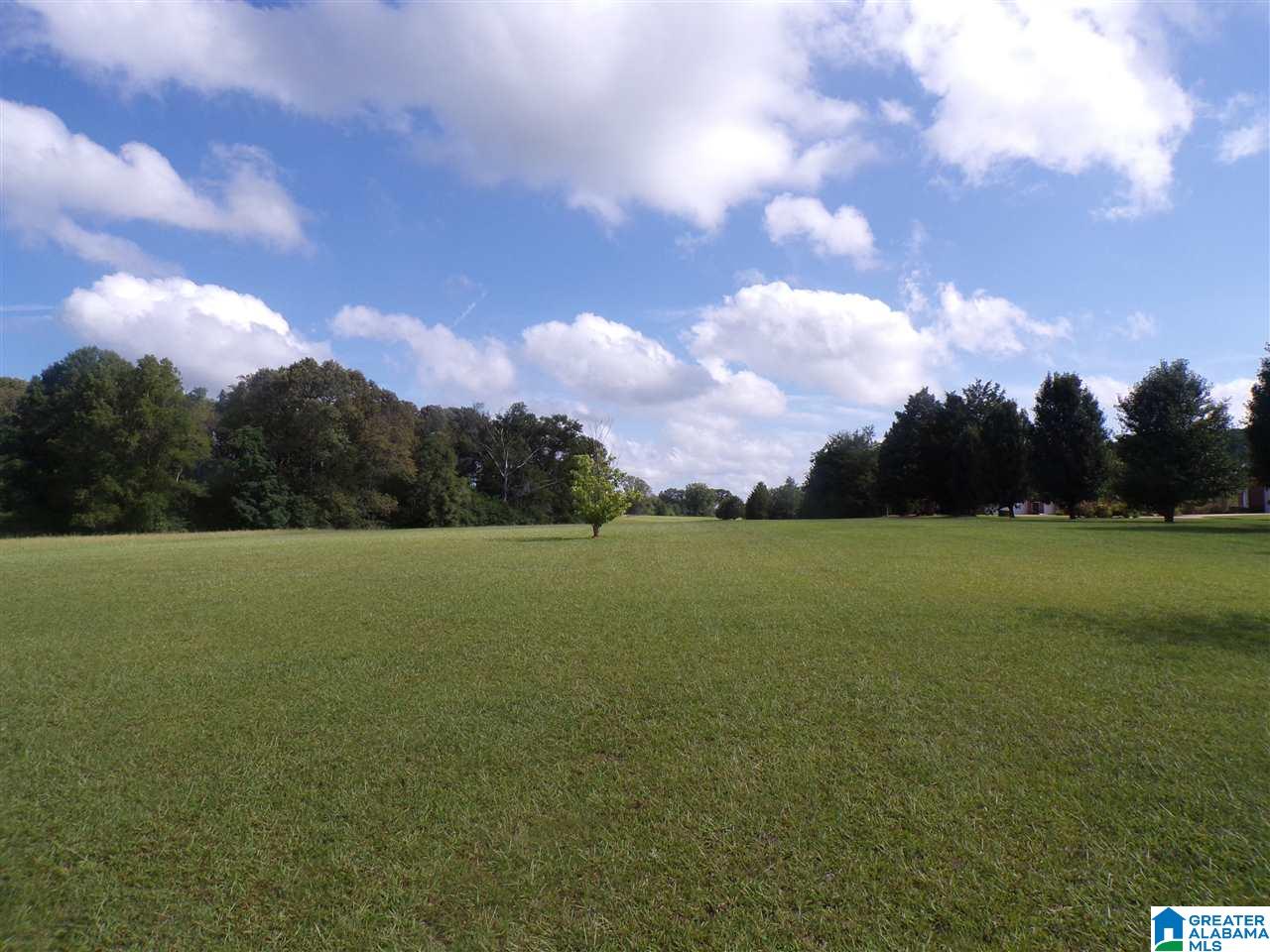 0 Arco Dairy Road, Unit 9 Alpine, AL 35014 - Photo 2 of 4