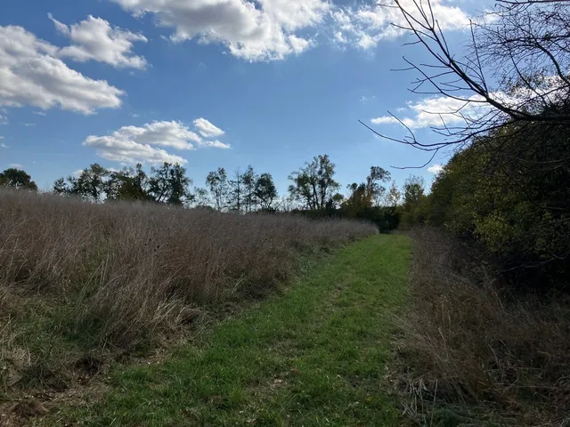 a view of swimming pool with lawn chairs and plants