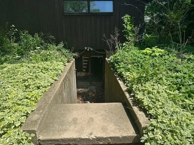 a view of a backyard