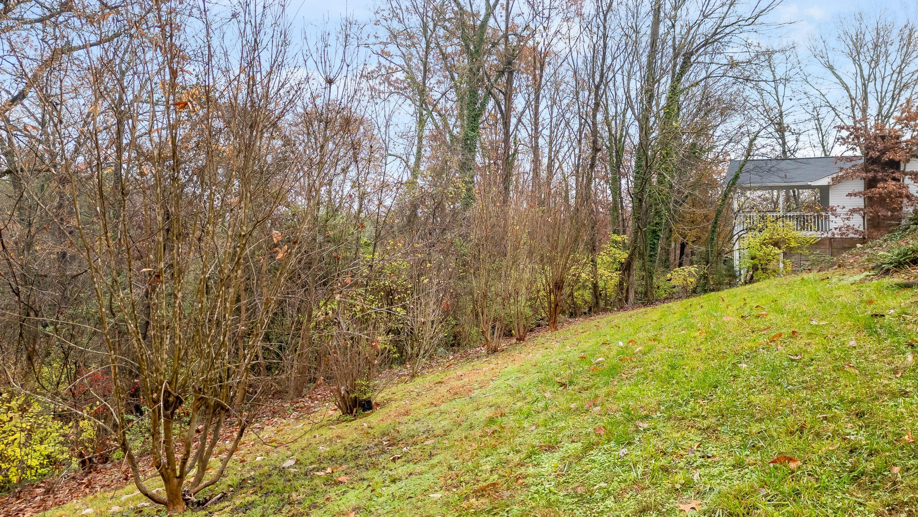 1331 Highland Road Chattanooga, TN 37415 - Photo 31 of 35 Back Yard