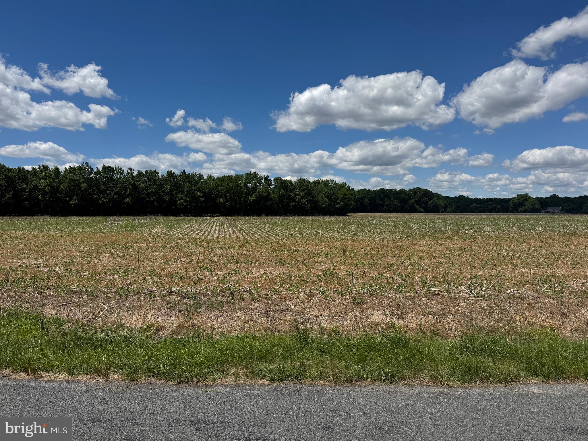 953 White Marsh Branch Road Harrington, DE 19952 - Photo 32 of 39